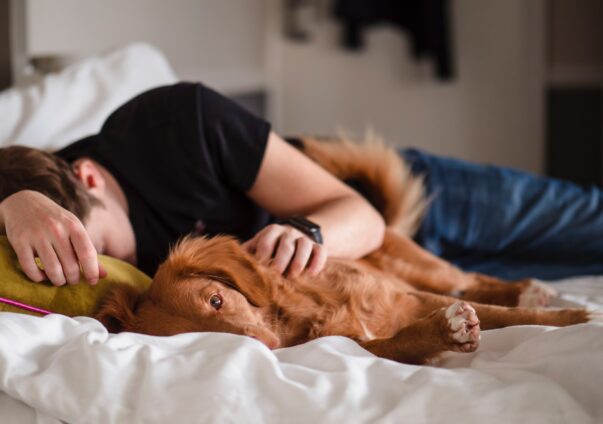 Mann schläft neben ihm Hund